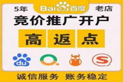 某品牌SEM广告投放的全程记录与效果分析